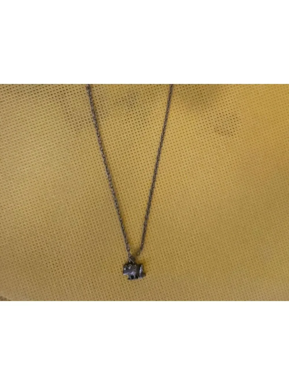 Chain with Frog Pendant Necklace - unknown origin - as shown